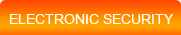 Electronic Security